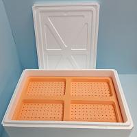 Термоконтейнер из пенопласта с ложементом