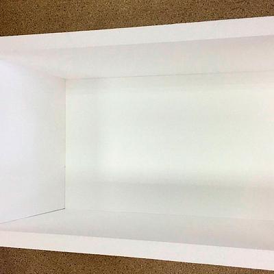 Термоконтейнер для рыбы