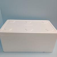 Термоконтейнер из пенопласта