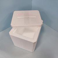 Образец медицинского термоконтейнера из пенопласта