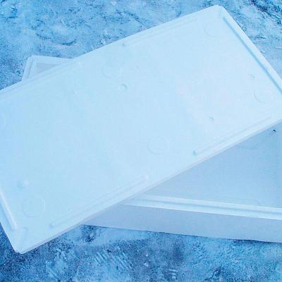 Рыбный термоконтейнер из пенопласта