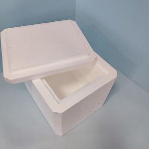 Образец медицинского термоящика из пенопласта